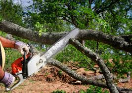 Lawn Watering Services in Independence, OR